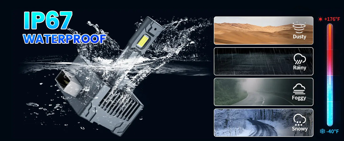 XD1 Series D1S LED Headlight Globes