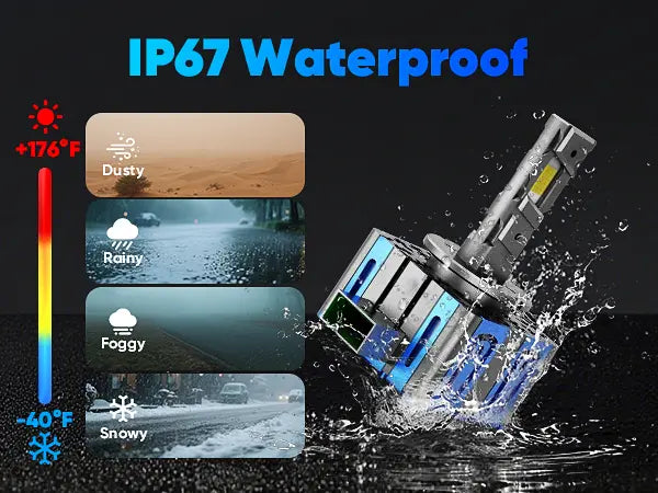 XM1 Series D3S LED Globes