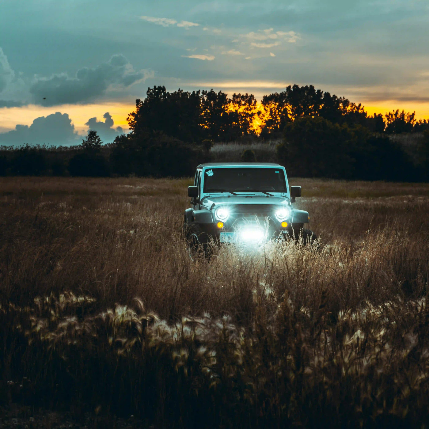 Do I Need to Replace Both Fog Lights if Only One LED Bulb Burns Out?